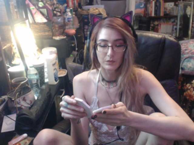 pussyxpaladin live cam