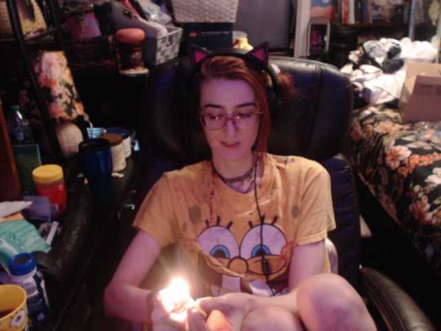 pussyxpaladin live cam on BongaCams