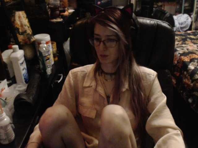 Pussyxpaladin