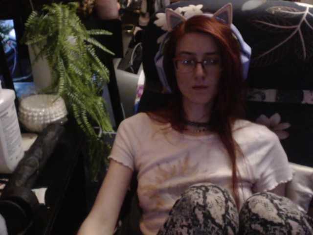 pussyxpaladin