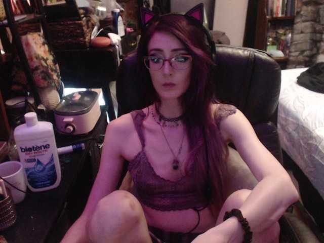 pussyxpaladin