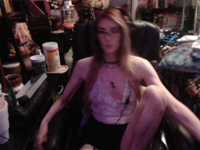 pussyxpaladin