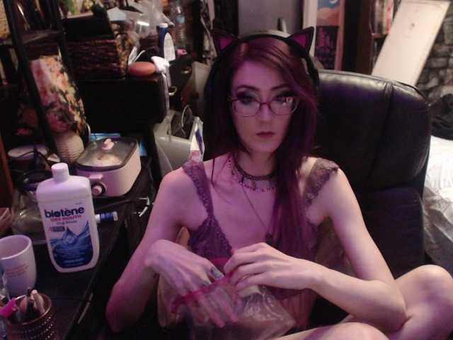 pussyxpaladin