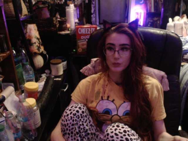pussyxpaladin