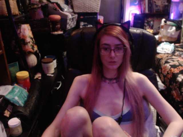 pussyxpaladin