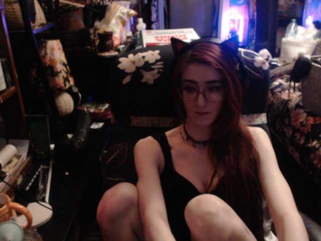 pussyxpaladin