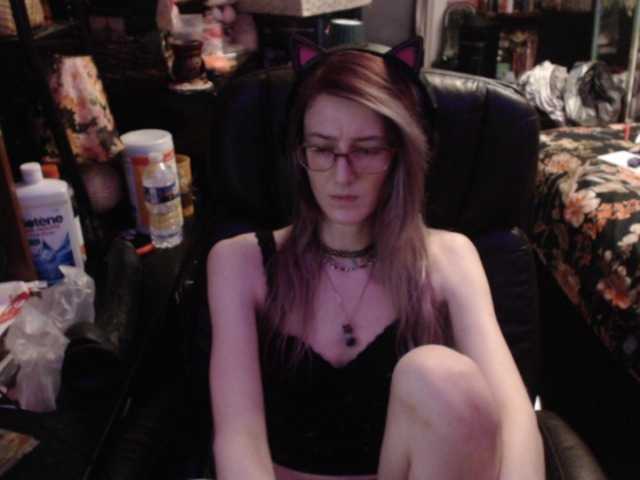 pussyxpaladin