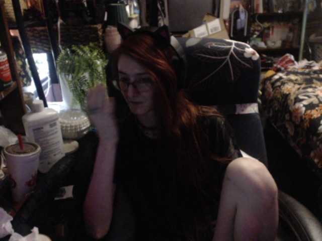 pussyxpaladin live cam on BongaCams