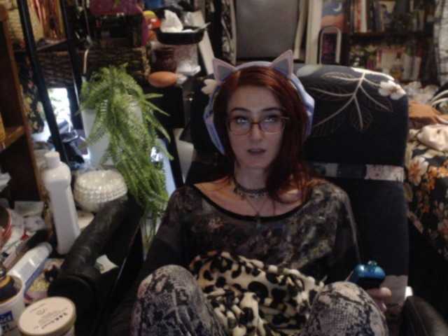 pussyxpaladin