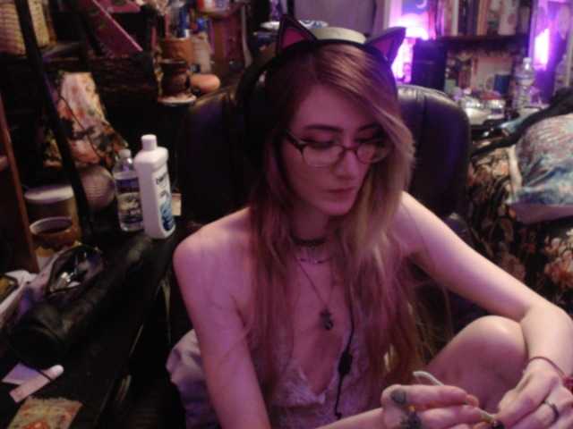 pussyxpaladin