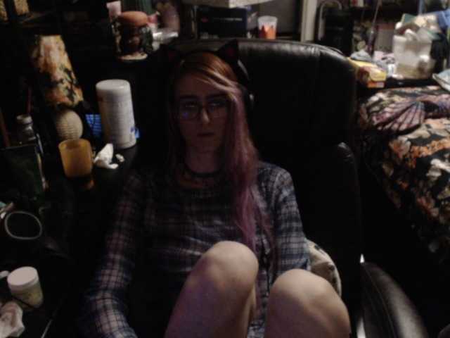 pussyxpaladin live cam on BongaCams
