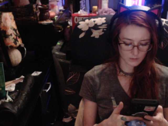 pussyxpaladin