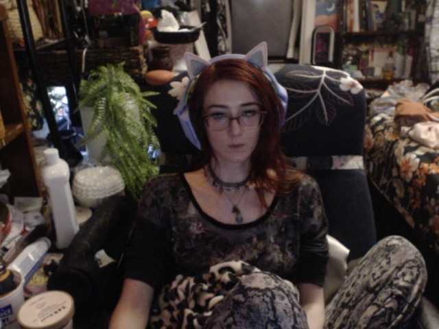 pussyxpaladin