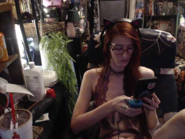 pussyxpaladin