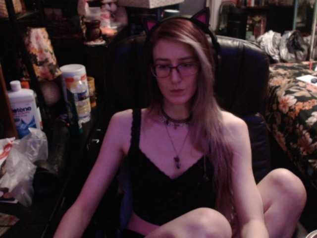 pussyxpaladin