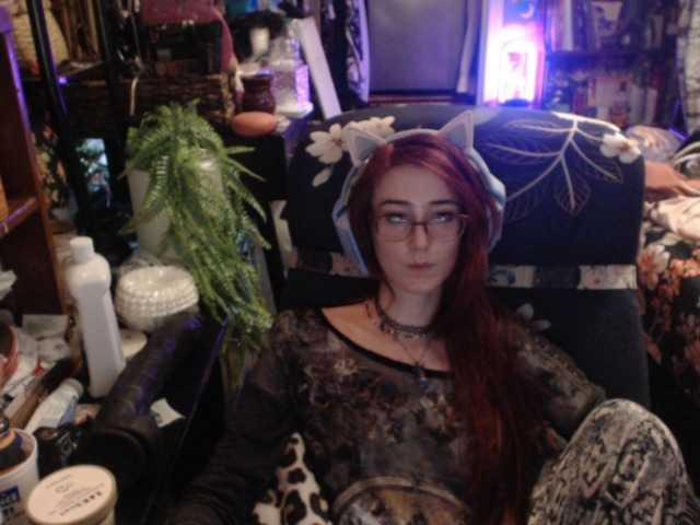 pussyxpaladin