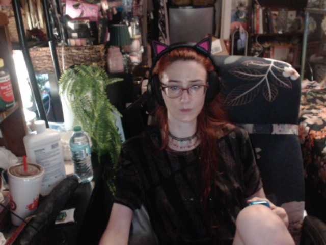 pussyxpaladin