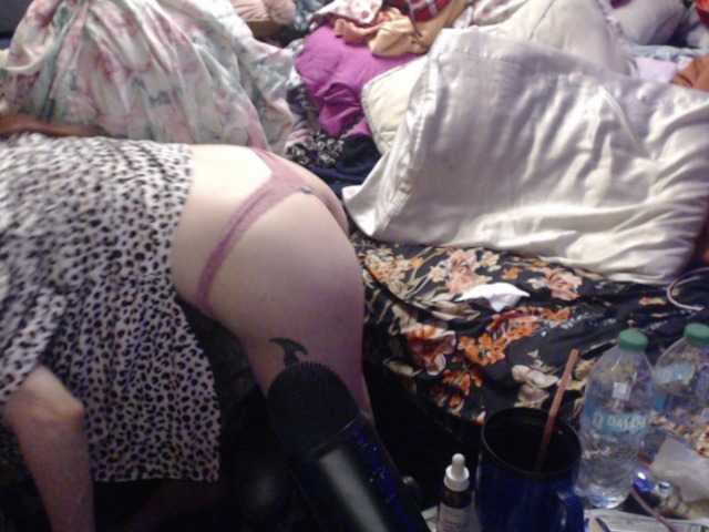 pussyxpaladin live cam on BongaCams