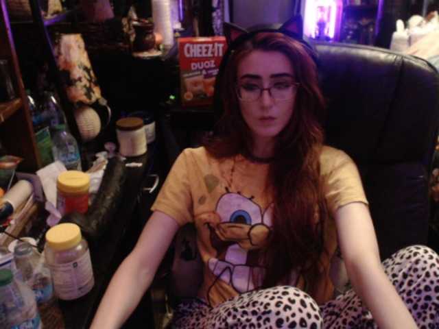 pussyxpaladin