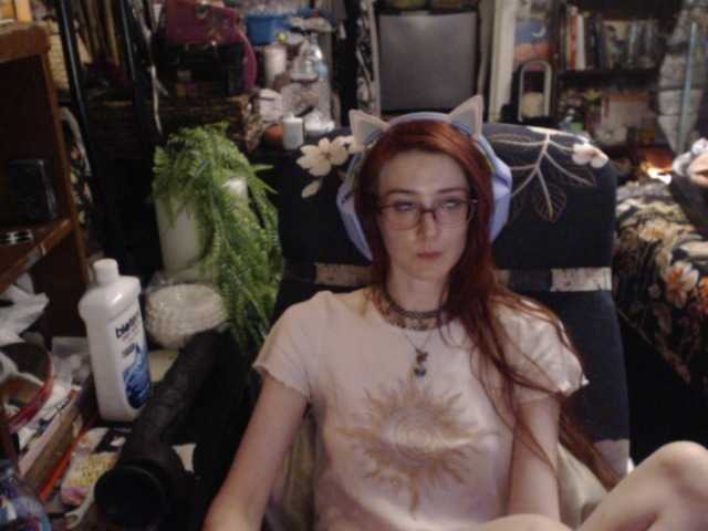 pussyxpaladin