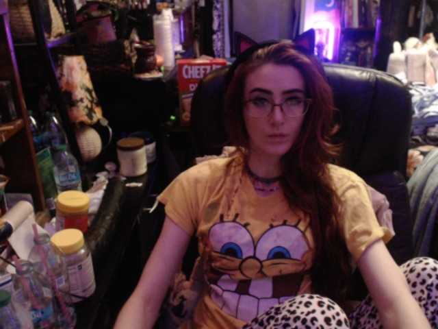 pussyxpaladin