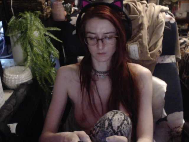 pussyxpaladin