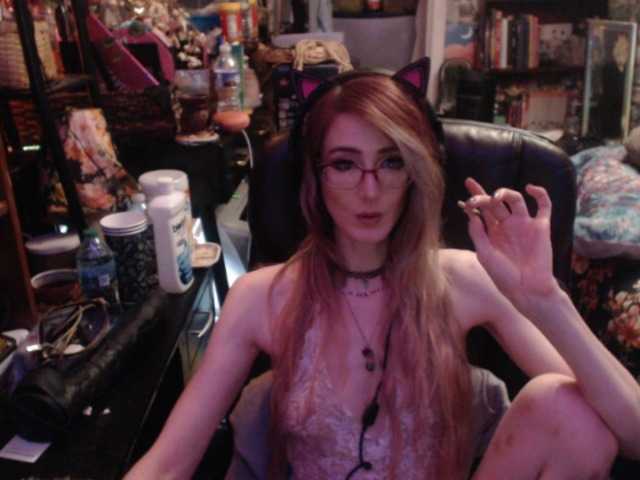 pussyxpaladin