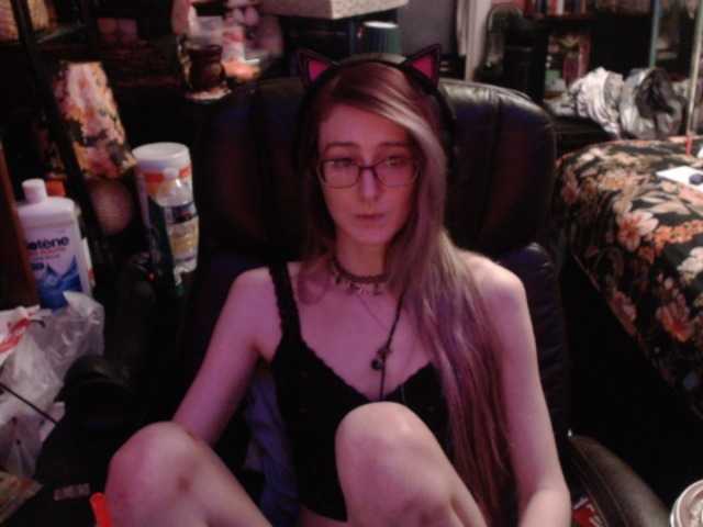 pussyxpaladin