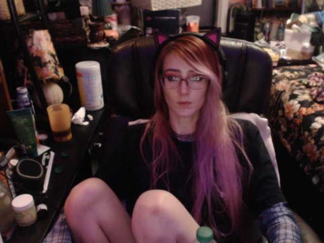 pussyxpaladin