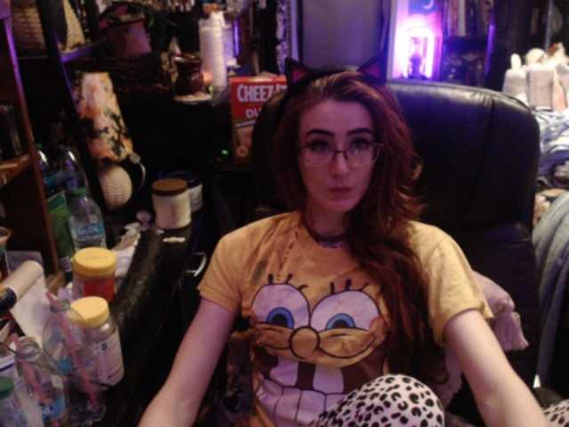 pussyxpaladin