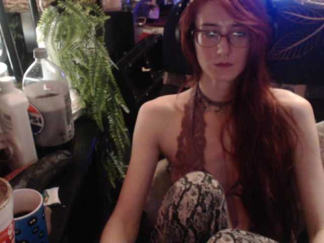 pussyxpaladin