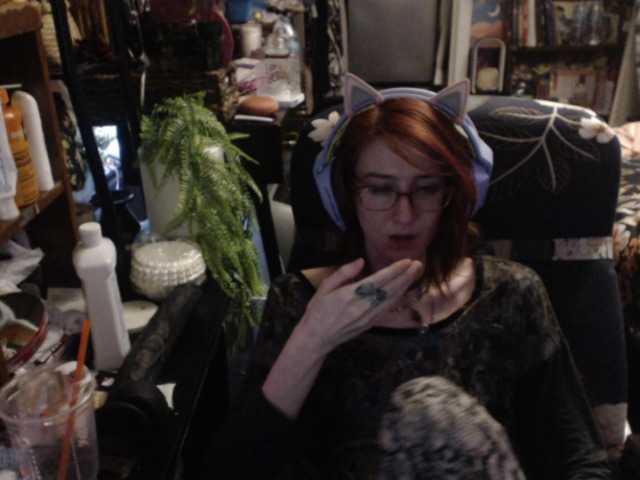 pussyxpaladin