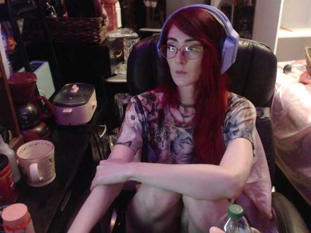 pussyxpaladin