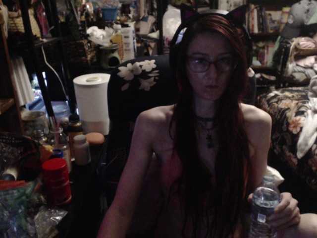 Pussyxpaladin