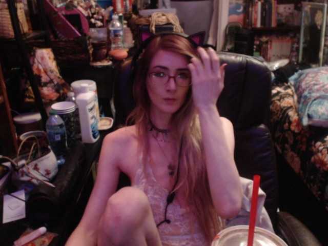 pussyxpaladin