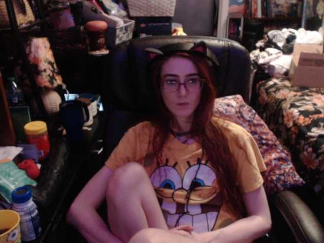 pussyxpaladin