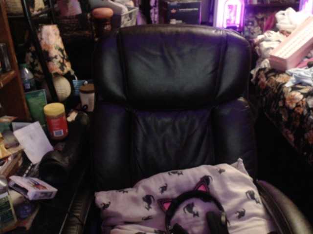 pussyxpaladin live webcam show