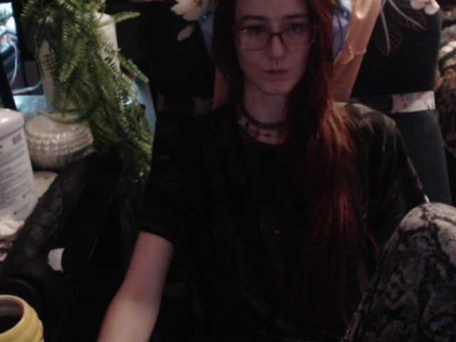 pussyxpaladin