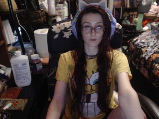 pussyxpaladin