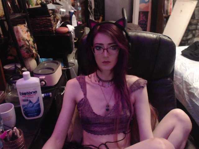 pussyxpaladin
