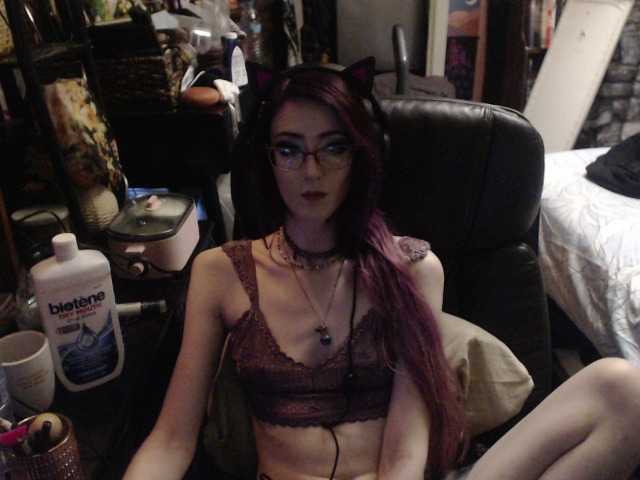 pussyxpaladin