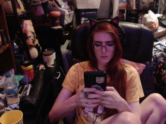 pussyxpaladin