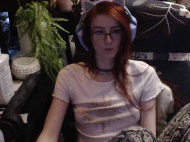 pussyxpaladin