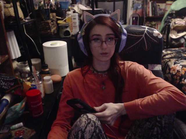 Pussyxpaladin