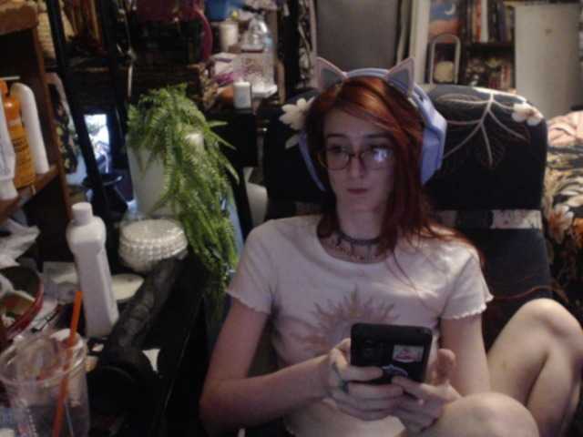 pussyxpaladin