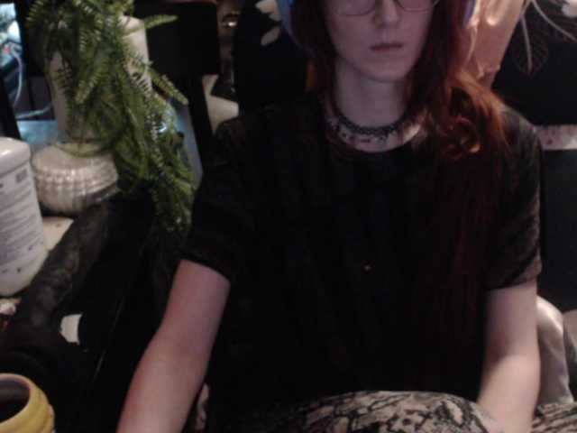 pussyxpaladin