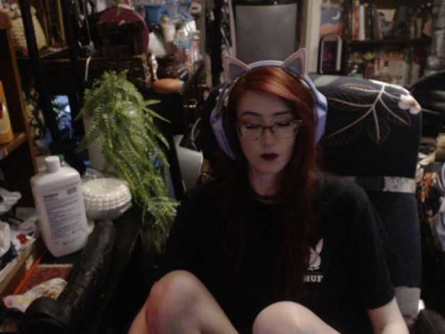 pussyxpaladin