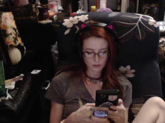 pussyxpaladin live webcam show