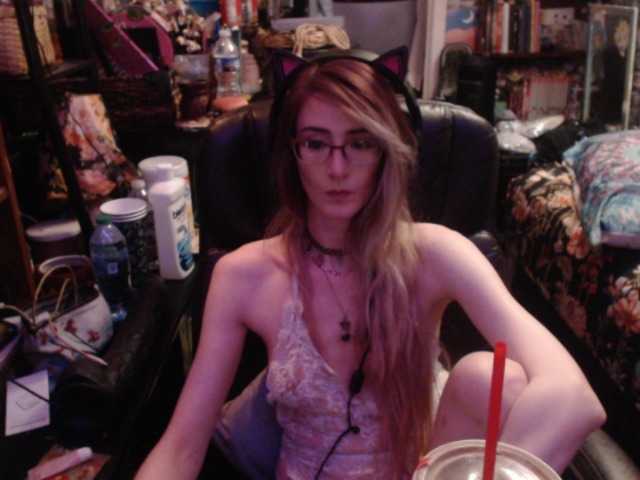 pussyxpaladin live cam on BongaCams
