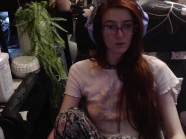 pussyxpaladin
